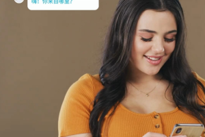 如何使用HelloWorld翻译软件进行离线翻译